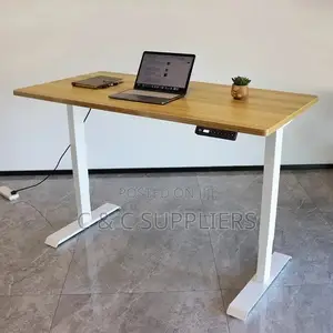 Modern Electric Sit Stand Desk-1200mm