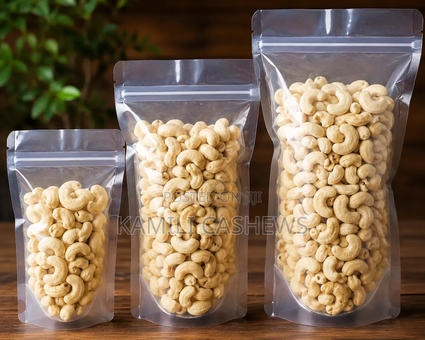 Fresh Cashew Nuts