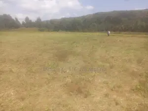 Prime Land