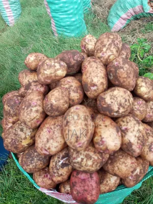 Fresh Farm Potatoes