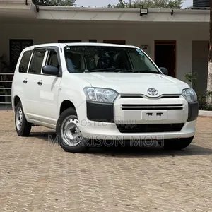 Toyota Probox 2019 White
