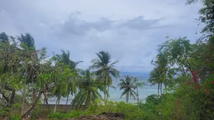 1/4 Acre Beach Plots Msambweni