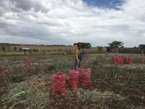 2- Acre Fertile Farm in Ngobit Laikipia With Water