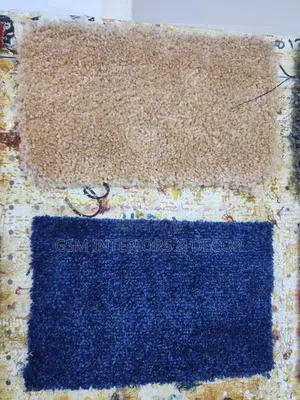 Wall to Wall Vip Carpets in Movable Colours for Living Spaces
