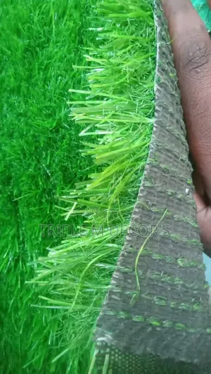 Modern Artificial Grass Carpet