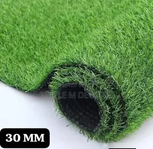 World Class Artificial Grass Carpet