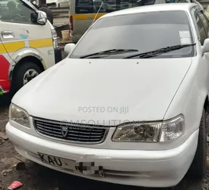 Toyota Corolla 1999 White