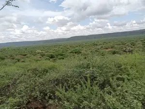 Ewuaso Kedong / Kesumetti Acres for Sale