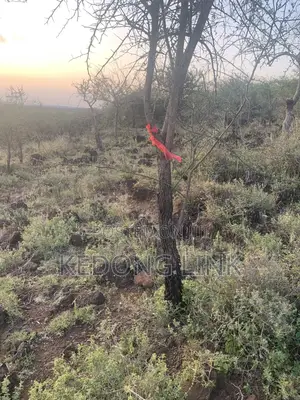 Nguirubi Thigio 5 Acres for Sale