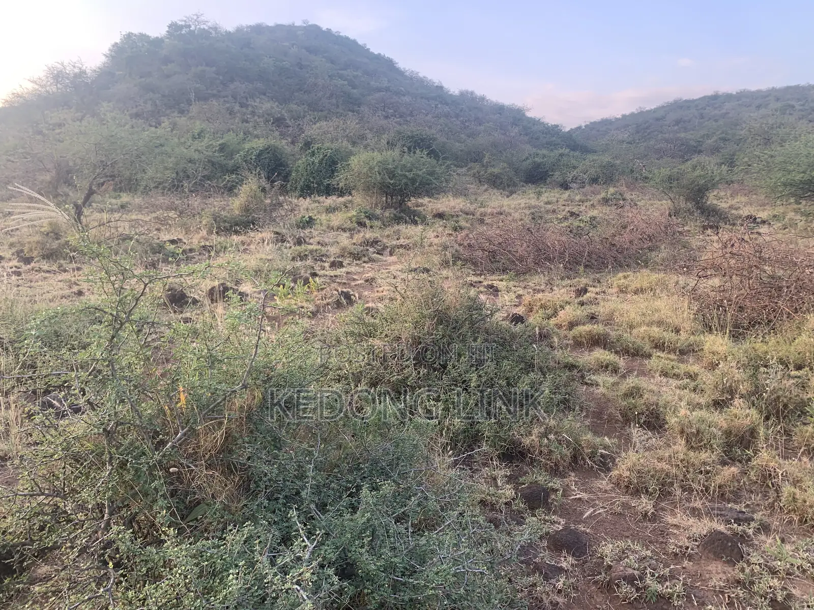 Nguirubi Thigio 5 Acres for Sale