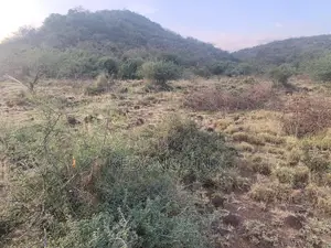 Nguirubi Thigio 5 Acres for Sale