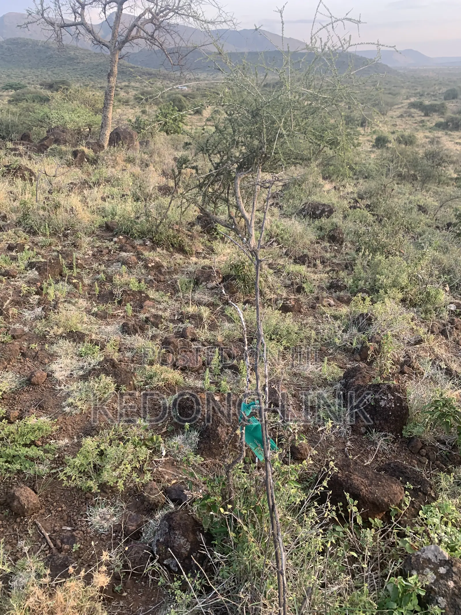 Nguirubi Thigio 5 Acres for Sale