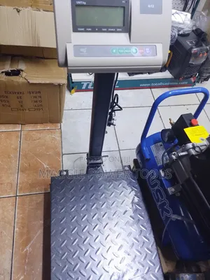 Well Performing and Professional 300kge Weighing Scale/a 12 Scale