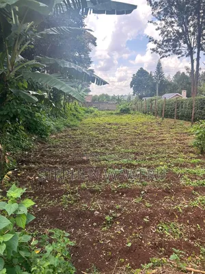 60 by 100 Plot for Sale in Kanunga