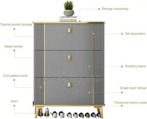 3 Tier Tipping Shoe Cabinet