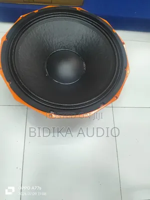 Derwell Pd1852 / Pd1882 Professional 18-Inch Naked Subwoofer Driver