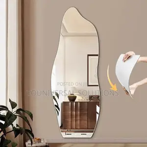 Dolphin Shape Acrylic Mirror