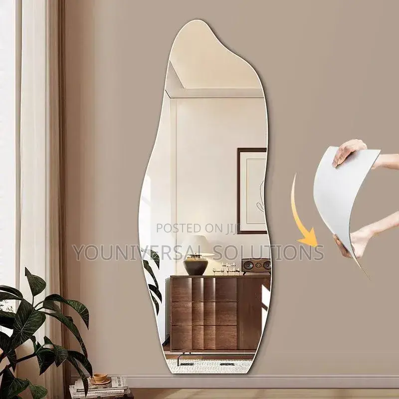 Dolphin Shape Acrylic Mirror