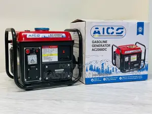 Portable 1000 W Petrol Generator With 12v Battery Charging Output