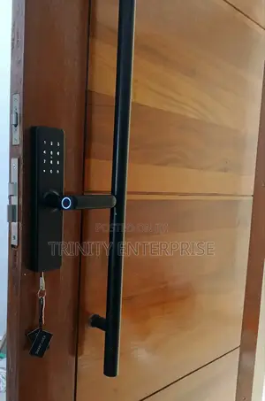 Smart Lock ,Smart Door Lock Tuya Wifi Airbnb Digital Door