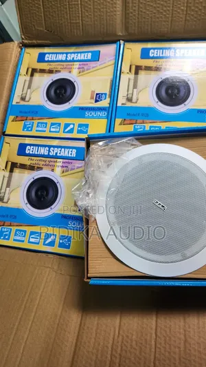 Professional Sound Public Address Ceiling Speaker Set (Model R-912b)