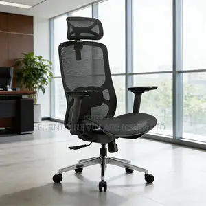 Ergonomic Back Office Chairs With Headrest