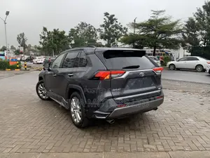Toyota RAV4 Limited AWD 2019 Silver