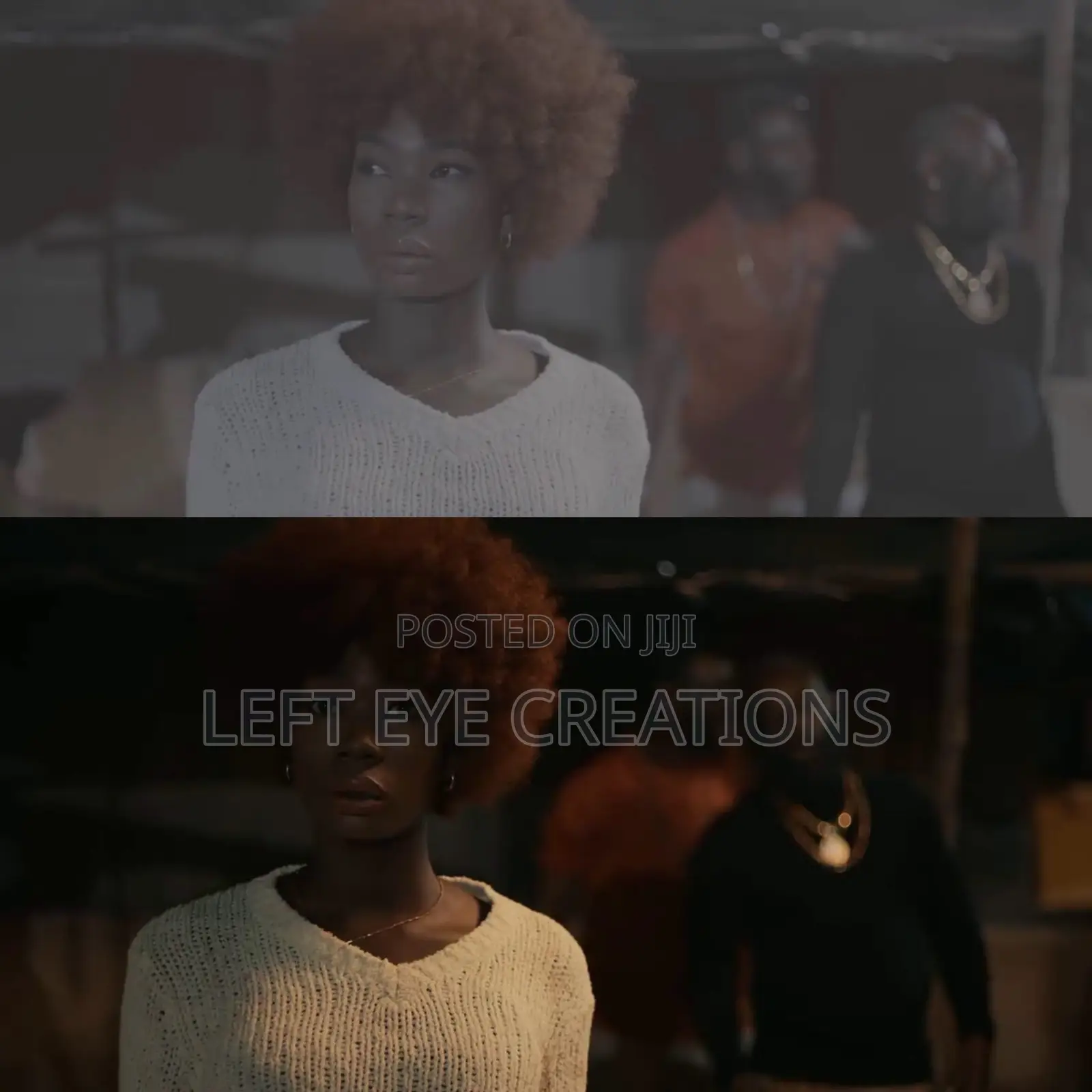 Professional Video Editing