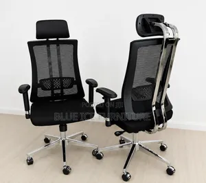 Smart Office Orthopedic Chair With Adjustable Height