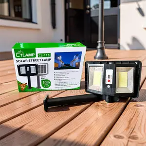 300w Energy Saving Durable Solar Street Light For Homes And Streets