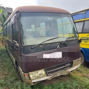 Mitsubishi Fuso Rosa 2014 Brown