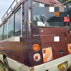 Mitsubishi Fuso Rosa 2014 Brown