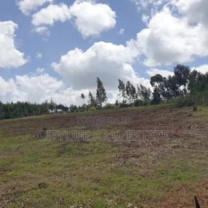 Ol Jororok, Ngano 2.5 Acres