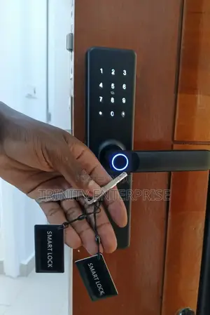 Smart Lock Digital Keypand App Online Tiya Wifi Smart Lock Password