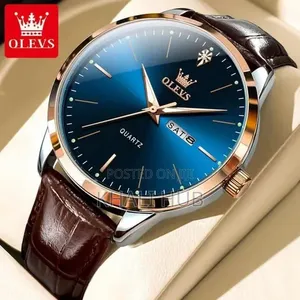 Olevs With Day and Date Display Gents Watch 2935