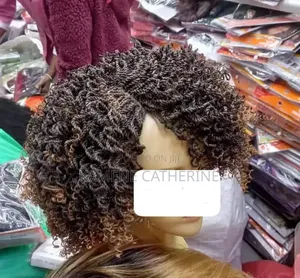 Curly Twisted Wig
