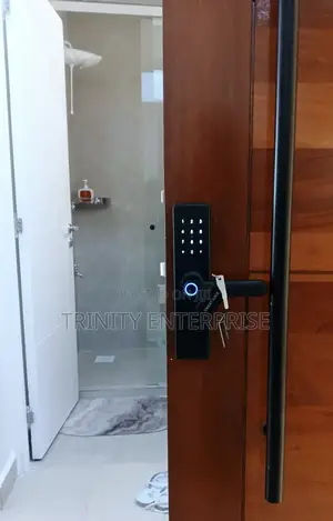 Smart Lock Locast Safe Exterior Interior Remotely App Tuya Wifi Lock