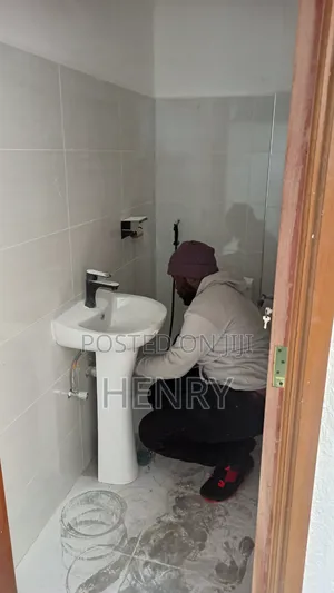 Professional Plumbing Services in Kenya
