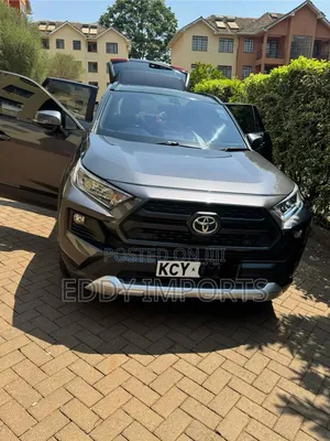 Toyota RAV4 Limited AWD 2019 Gray