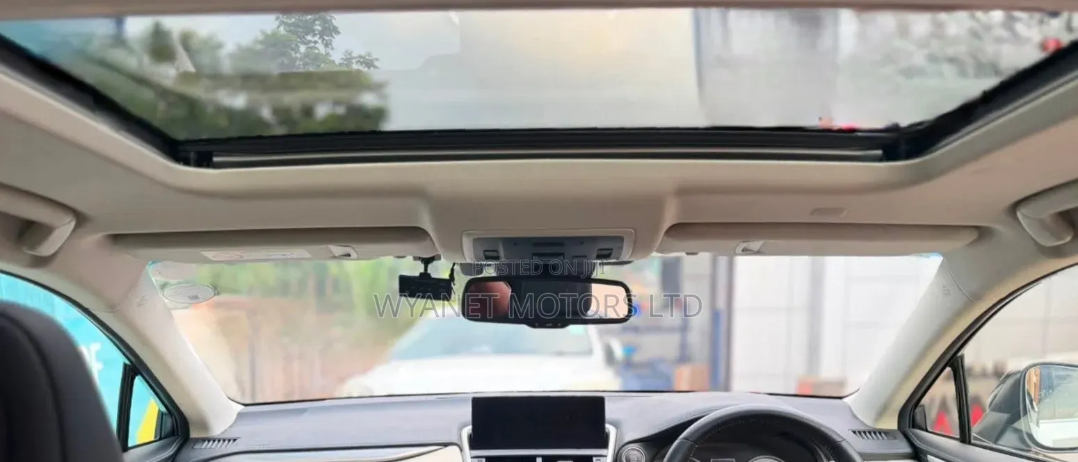 Lexus NX 2019 White