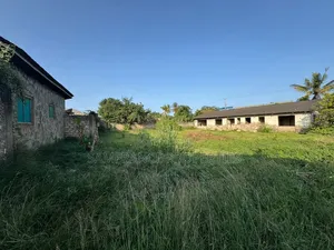 Quarter an Acre Plot on Sale