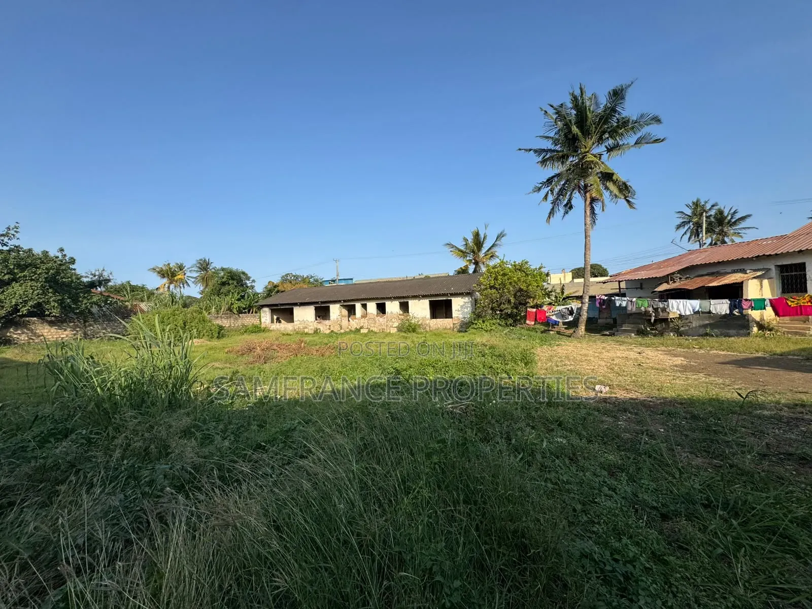 Quarter an Acre Plot on Sale