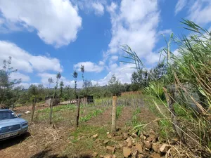 Prime Land - 1⁄8 Acre for Sale