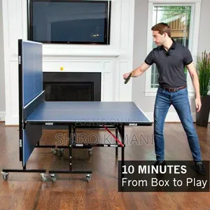 Commercial Table Tennis