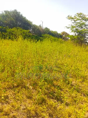 Kiambu, Turitu 4acres