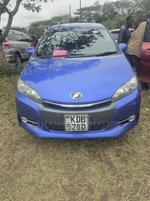 Toyota Wish 2013 Blue