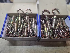 M10 M8 Rawl Bolts With Hook