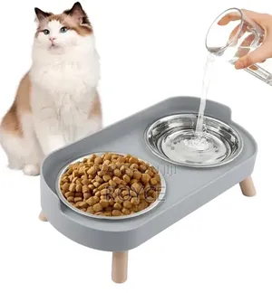 Pet Feeding Bowl Set