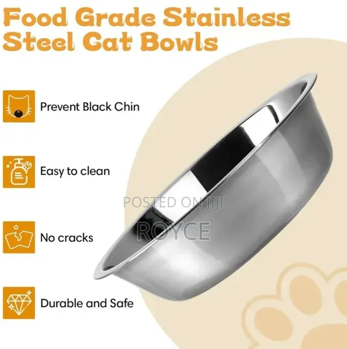 Pet Feeding Bowl Set