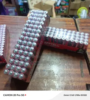 60pcs Bulk Pack Aa Batteries for Electronic